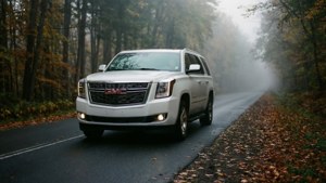 Misty Forest Drive