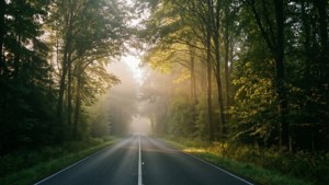 Misty Forest Road