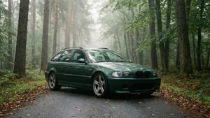 Misty Forest Road