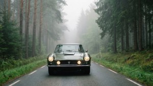 Misty Forest Run