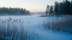 Misty Frozen Lake