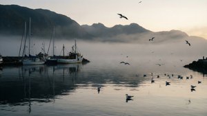 Misty Harbor Morning