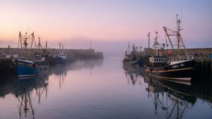 Misty Harbour Dawn