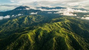 Misty Highlands of PNG