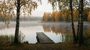 Misty Lake Autumn