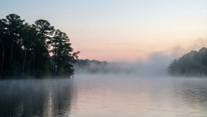 Misty Lake Guntersville