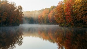 Misty Lake Reflection