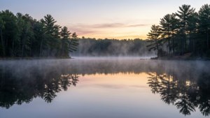 Misty Lake Sunrise