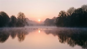 Misty Lake Sunrise