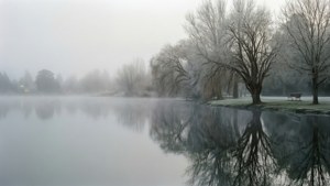 Misty Lake Winter