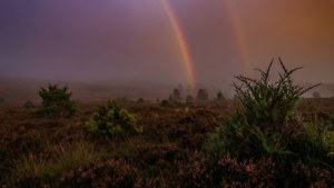 Misty Moor Rainbow