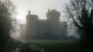 Misty Morn