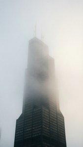 Misty Morning