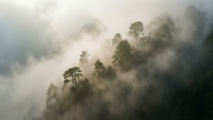 Misty Morning at Ake Loba