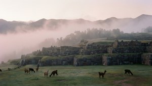 Misty Morning at Sacsayhuaman