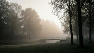 Misty Morning Hengelo