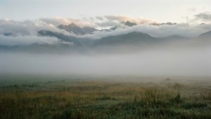 Misty Morning Meadows