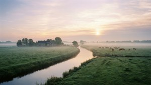 Misty Morning Meppel River