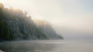Misty Morning Mystery
