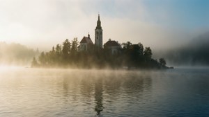 Misty Morning Mystique
