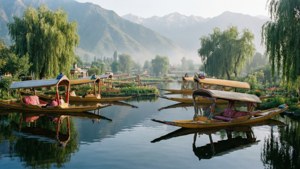 Misty Morning on Dal Lake