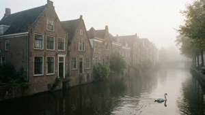 Misty Morning Singel