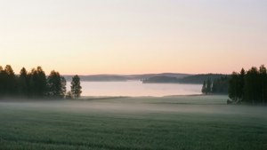 Misty Morning Östersund