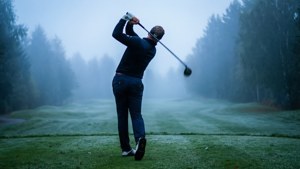 Misty Morning Swing