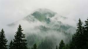 Misty Mountain Clouds