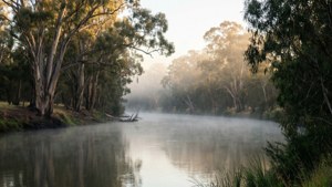 Misty Murray Morning