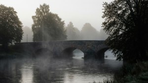 Misty River Morning