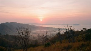 Misty Sunrise Hills