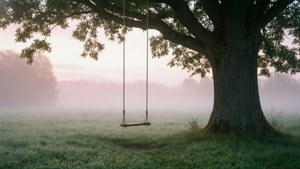 Misty Swing Loneliness