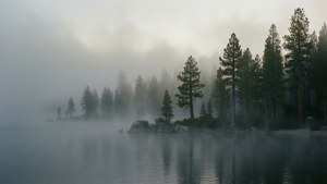 Misty Tahoe Morning