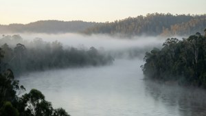 Misty Whanganui Morning