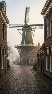 Misty Windmill