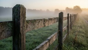 Misty Wooden Fence Dawn
