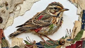 Mixed Media Skylark