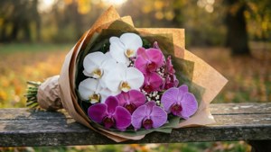 Mixed Orchid Bouquet