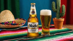 Modelo Fiesta