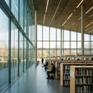 Modern Library Interior