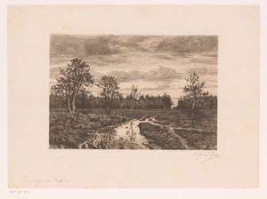 Moeraslandschap bij schemering