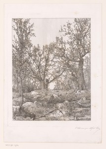 Moeraslandschap met bomen