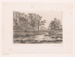 Moeraslandschap met bomen