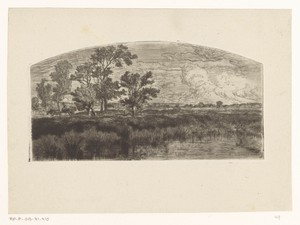 Moeraslandschap met een paardenkar