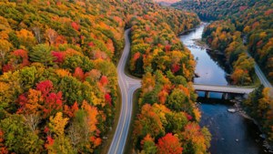 Mohawk Trail Fall Flyover