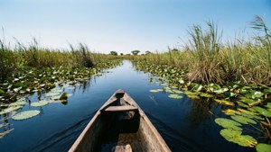 Mokoro Canoe Journey