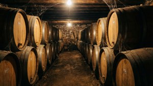 Moldovan Wine Cellar