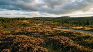 Mols Bjerge Heath
