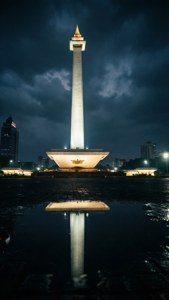 Monas Night Reflection
